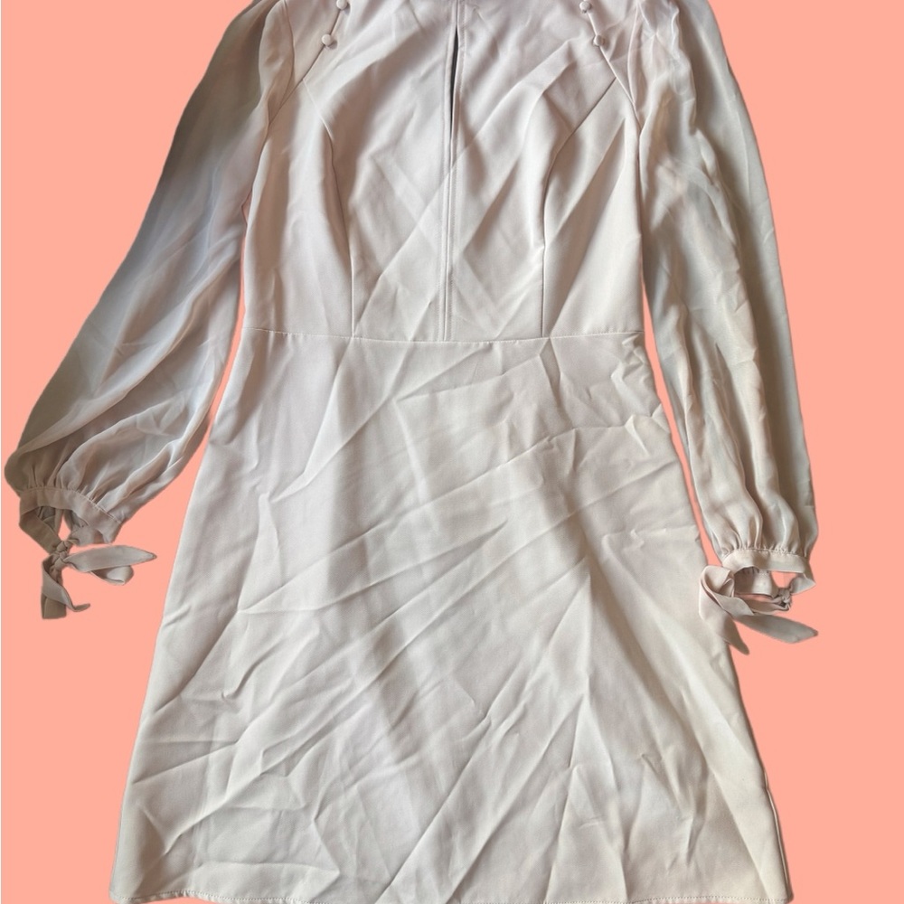 Elegant Pale Pink Long-Sleeve Dress